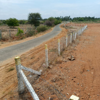  Agricultural Land for Sale in Kangeyam, Tirupur