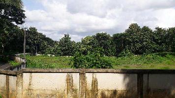  Residential Plot for Sale in Shoranur, Palakkad