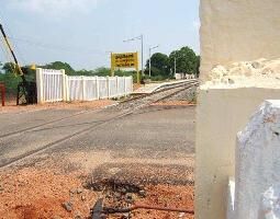  Agricultural Land for Sale in Karungulam, Thoothukudi