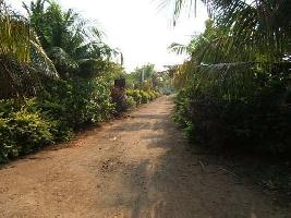  Agricultural Land for Sale in Karungulam, Thoothukudi