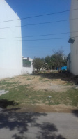  Residential Plot for Sale in Sector 38 Gurgaon