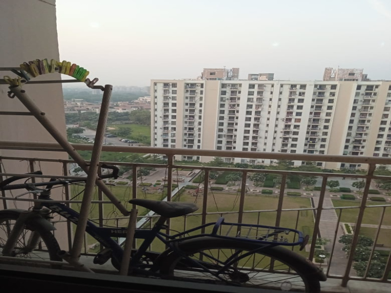 1 RK 200 Sq.ft. Apartment for Sale in Sector 37C Gurgaon