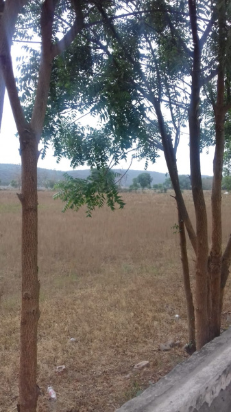  161 Sq. Yards Residential Plot for Sale in Sector 46 Gurgaon