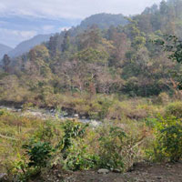  Agricultural Land for Sale in Kotabagh, Nainital
