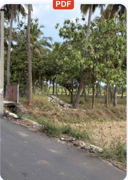  33 Cent Residential Plot for Sale in Thesur, Kanyakumari