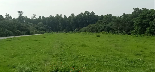  Agricultural Land 8100 Sq.ft. for Sale in Horawala, Dehradun