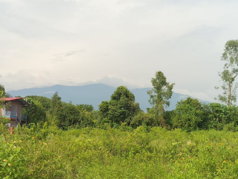  Residential Plot 184 Sq. Yards for Sale in Aamwala, Dehradun