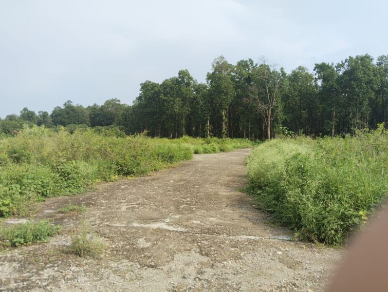 Residential Plot 184 Sq. Yards for Sale in Aamwala, Dehradun