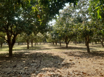  Agricultural Land for Sale in Chandragiri, Tirupati