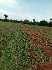  Agricultural Land for Sale in Melapudur, Tiruchirappalli