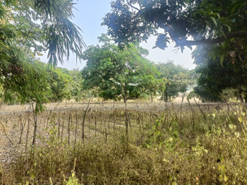  Agricultural Land for Sale in Pen, Raigad