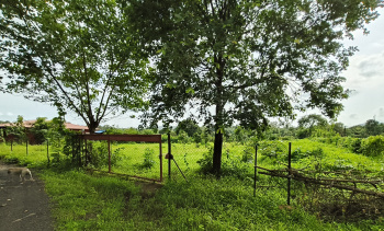  Agricultural Land for Sale in Mangaon, Raigad