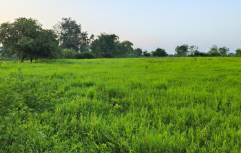  Agricultural Land for Sale in Kolad, Raigad