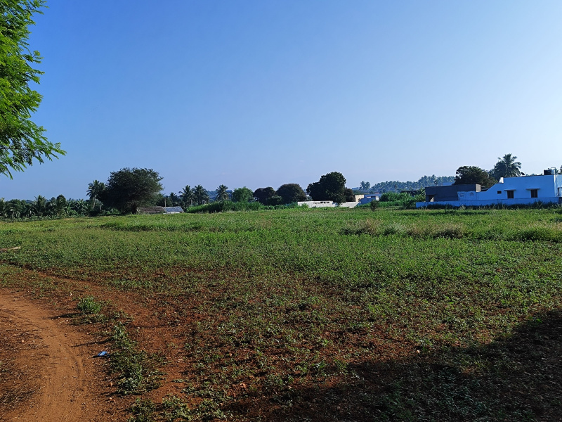  Agricultural Land 4 Acre for Sale in Keerambur, Namakkal