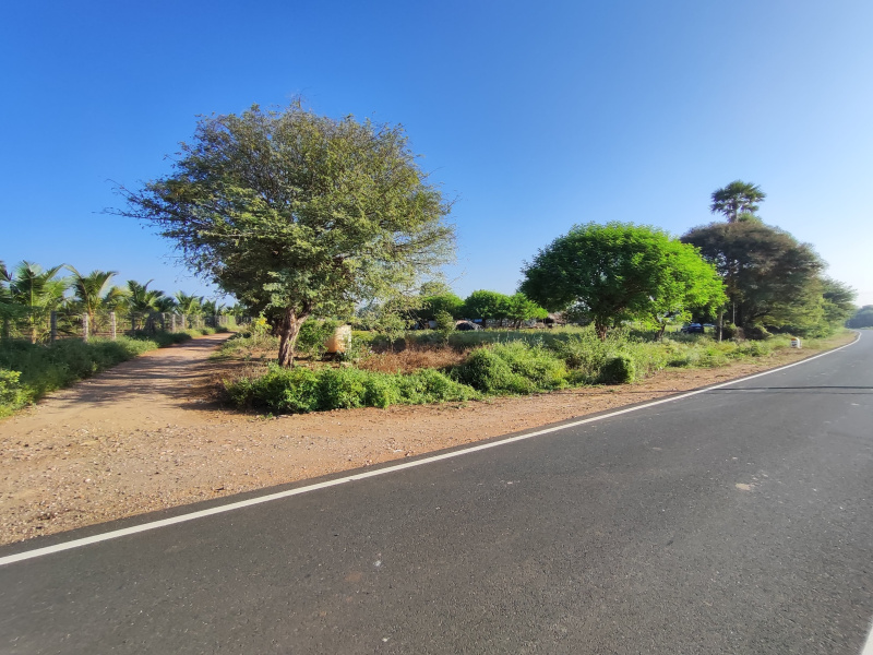  Agricultural Land 4 Acre for Sale in Keerambur, Namakkal