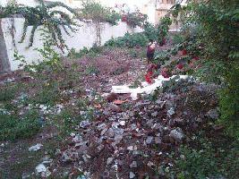  Residential Plot for Sale in Municipal Colony, Pathankot