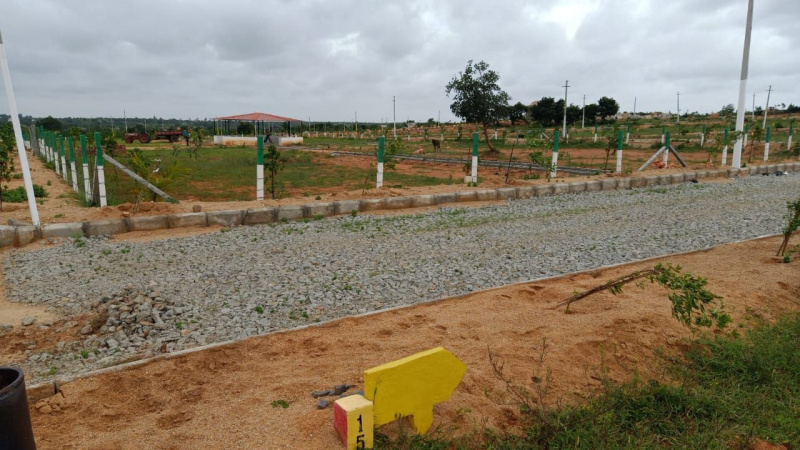  Residential Plot 200 Sq. Yards for Sale in Shadnagar, Hyderabad