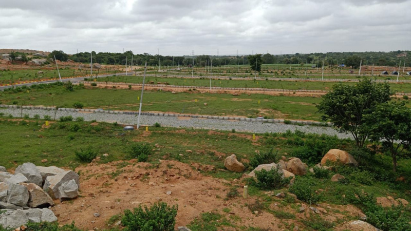  Residential Plot 200 Sq. Yards for Sale in Shadnagar, Hyderabad