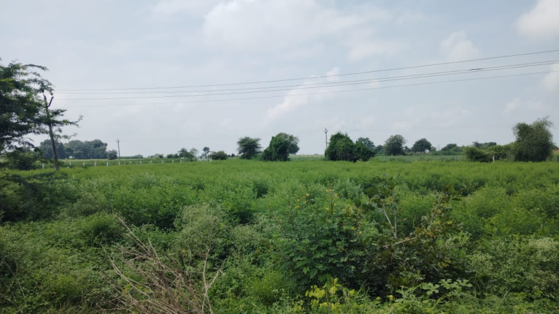  Residential Plot 1 Acre for Sale in Shadnagar, Hyderabad