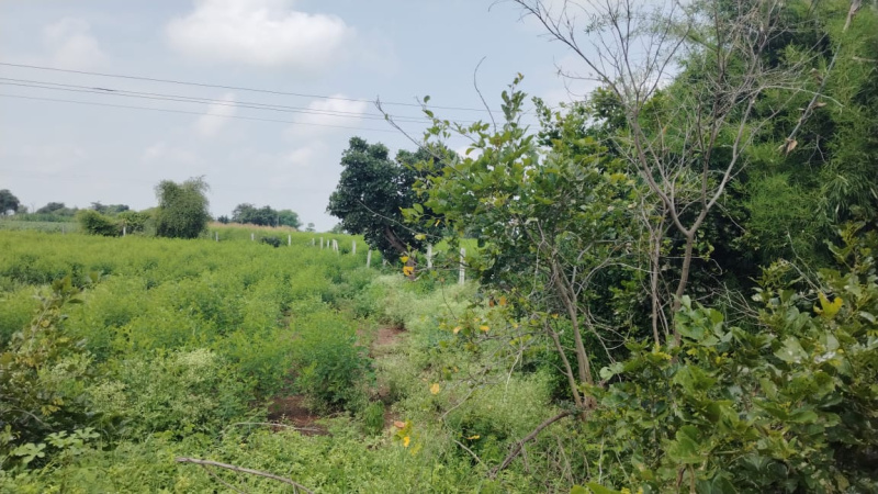  Residential Plot 1 Acre for Sale in Shadnagar, Hyderabad