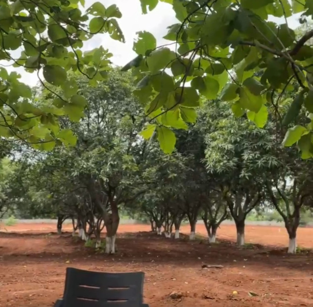  Residential Plot 2 Acre for Sale in Moinabad, Hyderabad