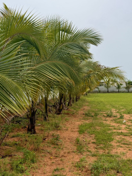 2 BHK Farm House for Sale in Bhongir, Yadadri Bhuvanagiri