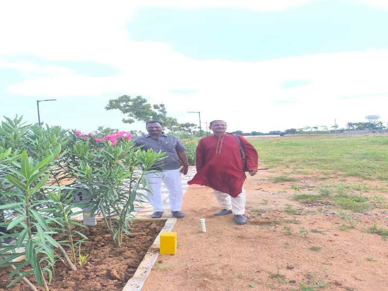 250 Sq. Yards Residential Plot for Sale in Shadnagar, Rangareddy