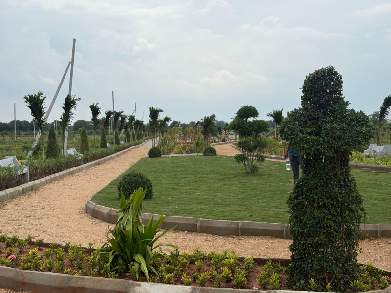  Residential Plot 200 Sq. Yards for Sale in Shadnagar, Rangareddy