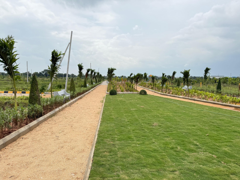  Residential Plot 200 Sq. Yards for Sale in Shadnagar, Rangareddy