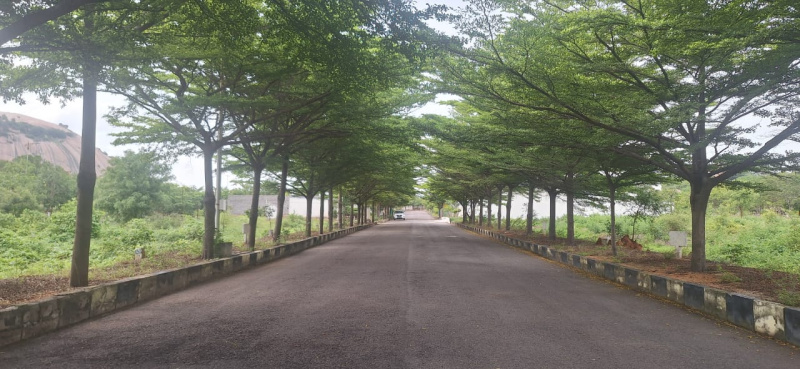  500 Sq. Yards Residential Plot for Sale in Bhongir, Yadadri Bhuvanagiri