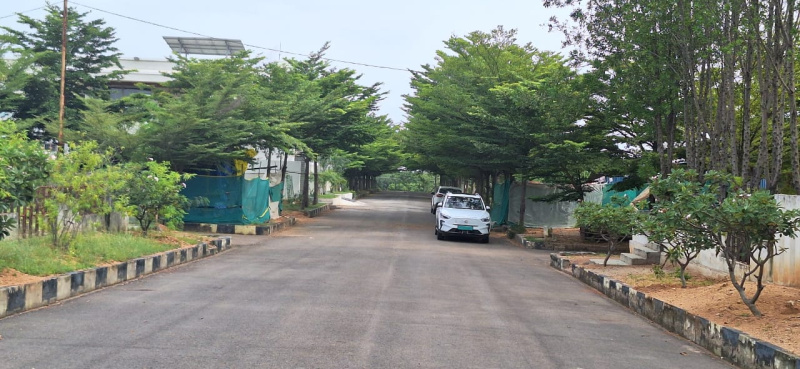  500 Sq. Yards Residential Plot for Sale in Bhongir, Yadadri Bhuvanagiri