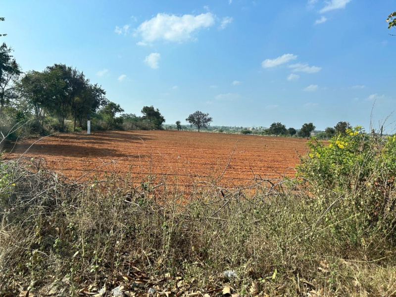  484 Sq. Yards Residential Plot for Sale in Shadnagar, Hyderabad