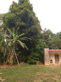  Residential Plot for Sale in Erattupetta, Kottayam