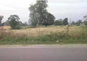  Residential Plot for Sale in Bhadsali, Una
