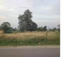  Residential Plot for Sale in Bhadsali, Una
