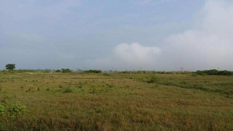  960 Sq.ft. Residential Plot for Sale in Wardha Road, Nagpur