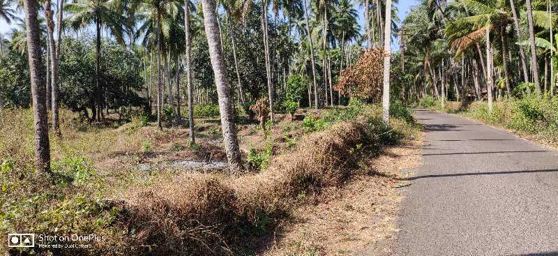 Agricultural Land 18000 Sq. Meter for Sale in Rivona, Goa