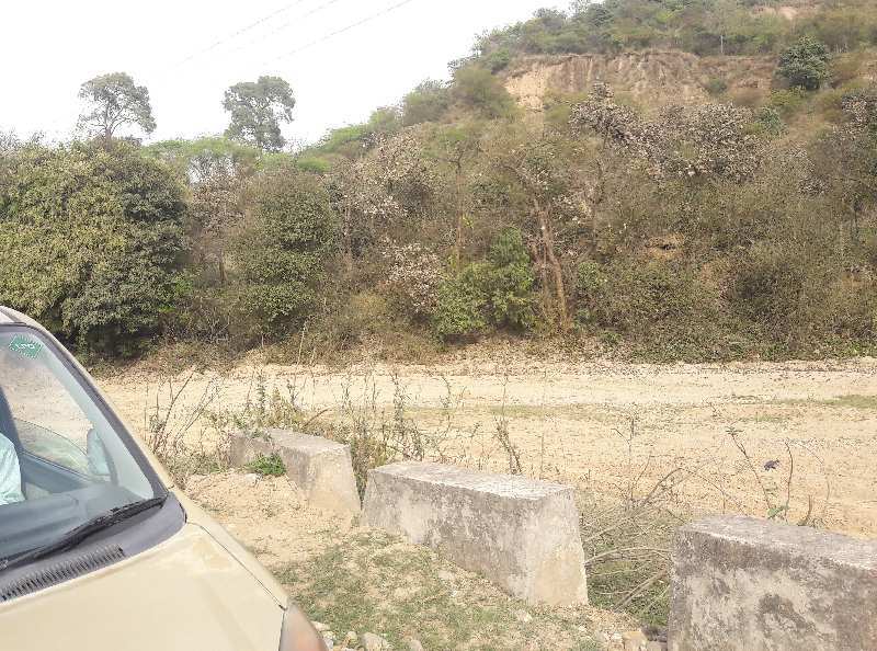 Agricultural Land 30 Hectares for Sale in Samba, Jammu
