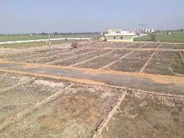  Agricultural Land for Sale in Bhondsi, Gurgaon