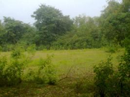  Agricultural Land for Sale in Ankola, Uttara Kannada