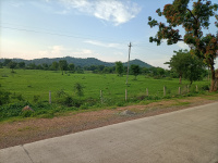  Agricultural Land for Sale in Rajnagar, Chhatarpur