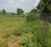  Agricultural Land for Sale in Hasthinapuram, Kanchipuram