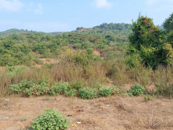  Agricultural Land for Sale in Murud, Raigad