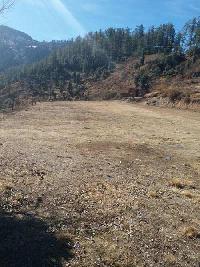  Commercial Land for Sale in Apple Orchard, Shimla, Shimla