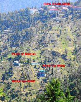  Agricultural Land for Sale in Main Road, Shimla