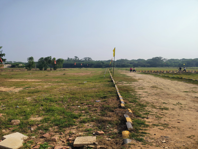  100 Sq. Yards Residential Plot for Sale in Paragpur, Dera Bassi