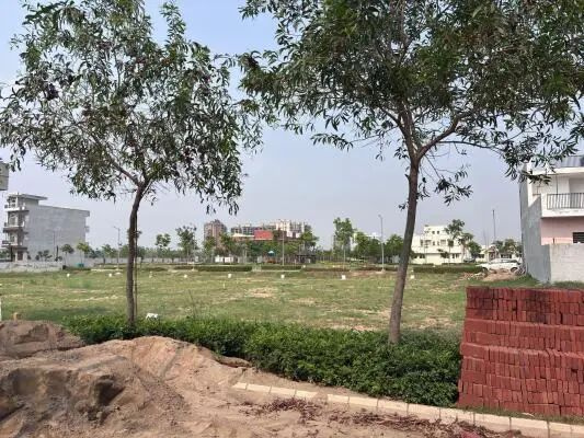  180 Sq. Yards Residential Plot for Sale in Sector 14 Panchkula