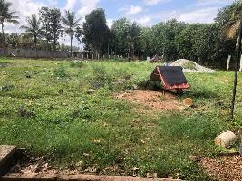  Residential Plot for Sale in Olavakkode, Palakkad