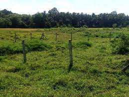  Residential Plot for Sale in Chunnambuthara, Palakkad