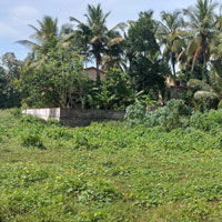 Agricultural Land for Sale in Kollengode, Palakkad